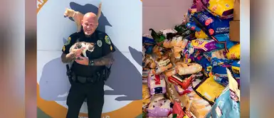 Policía cambia las multas por donación de alimentos para gatitos abandonados Policía cambia las multas por donación de alimentos para gatitos abandonados