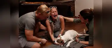 10 desgarradoras fotos que muestran el dolor que causa perder un perro 10 desgarradoras fotos que muestran el dolor que causa perder un perro