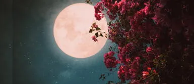 Así es como los signos de fuego se afectarán por la Luna llena de noviembre Así es como los signos de fuego se afectarán por la Luna llena de noviembre