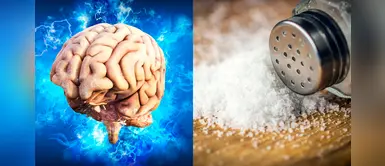 ¿Sabías que la sal en exceso podría afectar tus neuronas? ¿Sabías que la sal en exceso podría afectar tus neuronas?