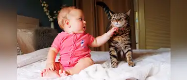 Youtube viral: Gato le salva la vida a bebé que iba a caer por las escaleras Youtube viral: Gato le salva la vida a bebé que iba a caer por las escaleras