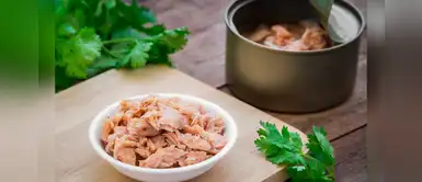 Atún: prueba estas deliciosas recetas para acompañar tu dieta Atún: prueba estas deliciosas recetas para acompañar tu dieta