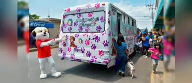 Transforman autobús abandonado en unidad móvil para ayudar animales sin hogar Transforman autobús abandonado en unidad móvil para ayudar animales sin hogar