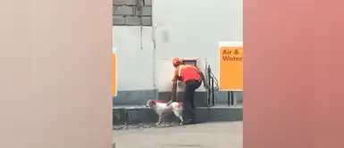 Grifero hace un alto en su trabajo para bañar a perro callejero y video se vuelve viral Grifero hace un alto en su trabajo para bañar a perro callejero y video se vuelve viral