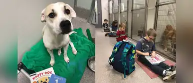 Niños van a refugios para leer cuentos a animalitos y combatir su ansiedad Niños van a refugios para leer cuentos a animalitos y combatir su ansiedad