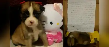 Niña es obligada a abandonar a su perrita y ella escribe conmovedora carta Niña es obligada a abandonar a su perrita y ella escribe conmovedora carta
