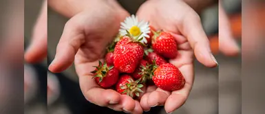 Las vitaminas que debes consumir para mantener una piel hermosa y saludable Las vitaminas que debes consumir para mantener una piel hermosa y saludable