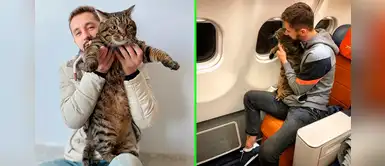 Joven logró viajar con su gato de 10 kilos pese que aerolínea lo rechazó por su peso Joven logró viajar con su gato de 10 kilos pese que aerolínea lo rechazó por su peso