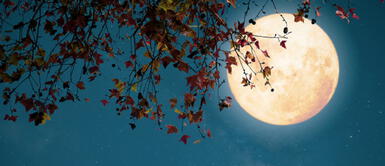 Luna llena en Virgo aclarará confusiones de amor Luna llena en Virgo aclarará confusiones de amor