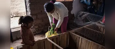 Violencia, explotación y desnutrición, los problemas más graves que enfrenta la niñez peruana Violencia, explotación y desnutrición, los problemas más graves que enfrenta la niñez peruana