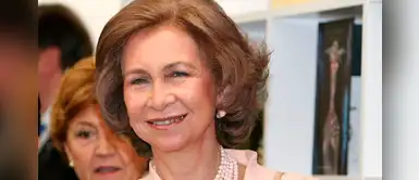 Doña Sofía da cátedra de moda con outfit de raje satinado formal Doña Sofía da cátedra de moda con outfit de raje satinado formal