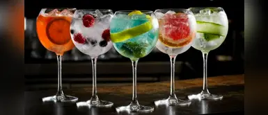 Gin Tonic: ¡Mira los 7 beneficios que trae para tu salud! Gin Tonic: ¡Mira los 7 beneficios que trae para tu salud!