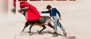 México: prohíben corridas de toros, peleas de gallos y perros en Quintana Roo México: prohíben corridas de toros, peleas de gallos y perros en Quintana Roo