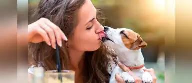 Hombre murió de una infección causada por una bacteria luego que su perrito lo lamió Hombre murió de una infección causada por una bacteria luego que su perrito lo lamió