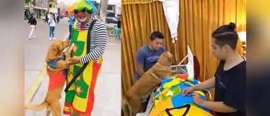 Huaral: Perro arranca lágrimas con desgarradora despedida en funeral de su dueño Huaral: Perro arranca lágrimas con desgarradora despedida en funeral de su dueño