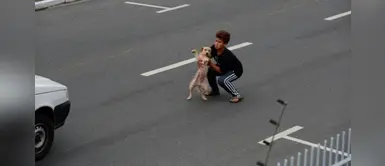 Niño de 11 años arriesga su vida para salvar a perrito atropellado Niño de 11 años arriesga su vida para salvar a perrito atropellado