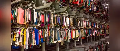 Moda ecológica: empresa española le hace frente al consumo desmedido del Black Friday Moda ecológica: empresa española le hace frente al consumo desmedido del Black Friday