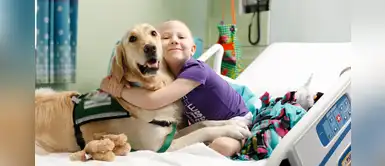 ¡Buenas noticias! Pacientes de hospital podrán recibir la visita de sus mascotas ¡Buenas noticias! Pacientes de hospital podrán recibir la visita de sus mascotas