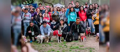 Jesús María: organizan feria navideña para ayudar a perros y gatos rescatados Jesús María: organizan feria navideña para ayudar a perros y gatos rescatados
