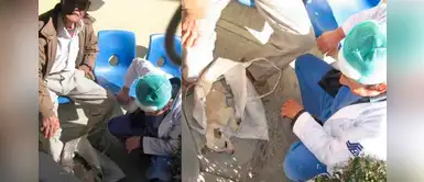 Abuelito desesperado lleva a su perrito enfermo al hospital para que le salven la vida Abuelito desesperado lleva a su perrito enfermo al hospital para que le salven la vida