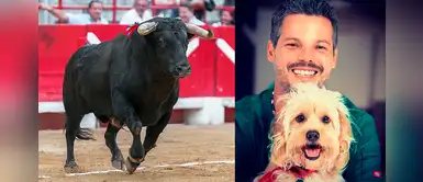 Pancho Cavero reafirma su opinión sobre corrida de toros con una imagen en Facebook Pancho Cavero reafirma su opinión sobre corrida de toros con una imagen en Facebook