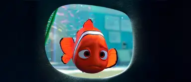 Especie de ‘nemo’ a punto de extinguirse debido al cambio climático Especie de ‘nemo’ a punto de extinguirse debido al cambio climático