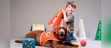 Perritos de terapia causan sensación por celebración navideña Perritos de terapia causan sensación por celebración navideña