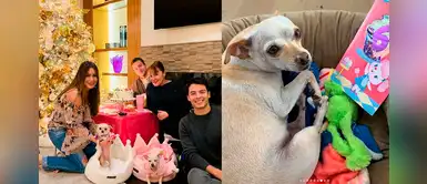 Sofía Vergara y la increíble fiesta de cumpleaños que le organizó a su perrito Sofía Vergara y la increíble fiesta de cumpleaños que le organizó a su perrito