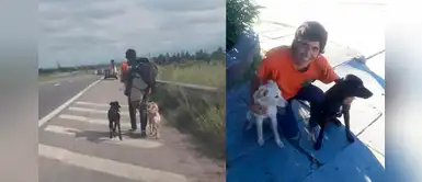 No lo dejaron subir al bus con sus perritos para ir a su país y él decidió regresar a pie No lo dejaron subir al bus con sus perritos para ir a su país y él decidió regresar a pie