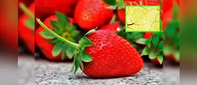 Te enseñamos a preparar un rico jugo para alcanzar tu peso ideal en poco tiempo Te enseñamos a preparar un rico jugo para alcanzar tu peso ideal en poco tiempo