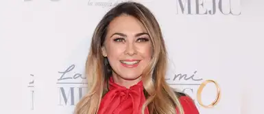 Aracely Arámbula asegura que sus hijos no seguirán los pasos de Luis Miguel Aracely Arámbula asegura que sus hijos no seguirán los pasos de Luis Miguel