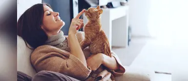 “Susurradores de gatos”: el poder de pocas personas para entender los gestos de los felinos “Susurradores de gatos”: el poder de pocas personas para entender los gestos de los felinos