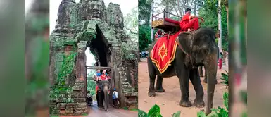 ¡Hurra! Camboya prohíbe los paseos en elefantes en templos de Angkor ¡Hurra! Camboya prohíbe los paseos en elefantes en templos de Angkor