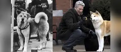 Revelan nuevas fotos de Hachiko, el perrito que esperó 9 años a su dueño muerto Revelan nuevas fotos de Hachiko, el perrito que esperó 9 años a su dueño muerto