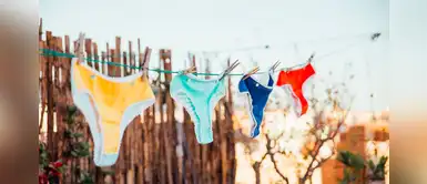 El color de ropa interior que debe usar cada signo zodiacal para recibir el 2020, según Mhoni El color de ropa interior que debe usar cada signo zodiacal para recibir el 2020, según Mhoni