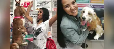 Surco: centro comercial promueve la adopción de perros y gatos Surco: centro comercial promueve la adopción de perros y gatos