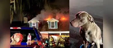 Perrito ladró desesperado para que su familia lo escuchara y se salvara de un incendio Perrito ladró desesperado para que su familia lo escuchara y se salvara de un incendio