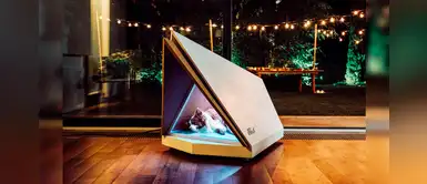 Crean casa de perritos que combate ruido ocasionado por pirotécnicos Crean casa de perritos que combate ruido ocasionado por pirotécnicos