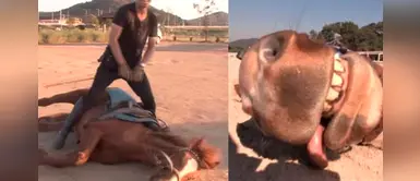 Caballo que se hace el ‘muerto’ para que nadie lo monte y las imágenes se vuelven viral Caballo que se hace el ‘muerto’ para que nadie lo monte y las imágenes se vuelven viral