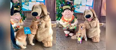 Perrito conoce a su personaje favorito de “Up” y estalla de emoción Perrito conoce a su personaje favorito de “Up” y estalla de emoción