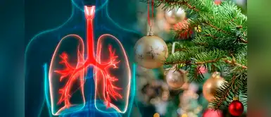 Síndrome del árbol de Navidad: Qué es, cómo identificarlo y consejos para mitigarlo Síndrome del árbol de Navidad: Qué es, cómo identificarlo y consejos para mitigarlo