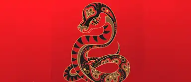 Horóscopo chino 2020: Predicciones para el signo de la Serpiente en el amor, salud y dinero Horóscopo chino 2020: Predicciones para el signo de la Serpiente en el amor, salud y dinero