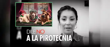 Famosos peruanos se unen en campaña "Más luces, menos ruido" para cuidar a las mascotas Famosos peruanos se unen en campaña "Más luces, menos ruido" para cuidar a las mascotas