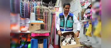 Rescatan a más de 100 animalitos que iban a ser vendidos a vísperas de la Navidad Rescatan a más de 100 animalitos que iban a ser vendidos a vísperas de la Navidad