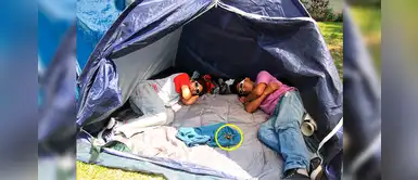 ¿Vas a ir de camping por Año Nuevo? Te enseñamos qué hacer si una araña te muerde ¿Vas a ir de camping por Año Nuevo? Te enseñamos qué hacer si una araña te muerde