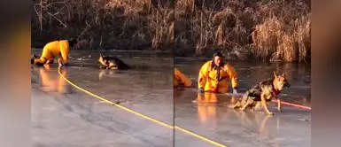 Bombero arriesga su vida para salvar a perrito que quedó atrapado en el hielo Bombero arriesga su vida para salvar a perrito que quedó atrapado en el hielo