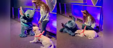 Perrito conmueve con su reacción al conocer a su personaje favorito de 'Lilo y Stitch' Perrito conmueve con su reacción al conocer a su personaje favorito de 'Lilo y Stitch'