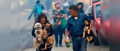 Incendio en Chile: familias cargan a sus perros y son lo primero que salvan del voraz fuego Incendio en Chile: familias cargan a sus perros y son lo primero que salvan del voraz fuego