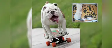 Otto, el perrito peruano que ganó un Récord Guinness perdió la vida este domingo Otto, el perrito peruano que ganó un Récord Guinness perdió la vida este domingo