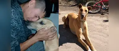 Joven ofrece su auto a la persona que le devuelva a su perrito que se perdió en Navidad Joven ofrece su auto a la persona que le devuelva a su perrito que se perdió en Navidad